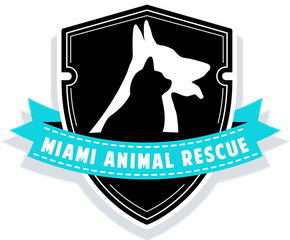 Miami Animal Rescue